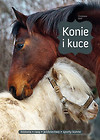 Konie i kuce