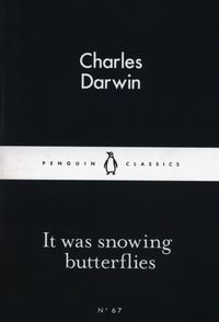 It Was Snowing Butterfies