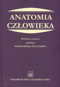 Anatomia człowieka