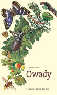 Owady