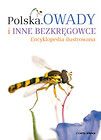 Polska Owady i inne bezkręgowce Encyklopedia ilustrowana