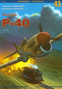 Curtiss P-40 Tom 3