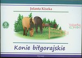 Konie Biłgorajskie