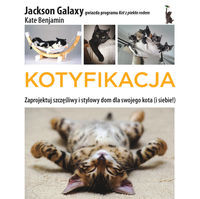 Kotyfikacja