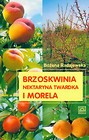 Brzoskwinia i morela