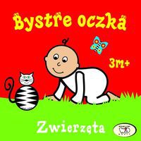 Bystre oczka Zwierzęta