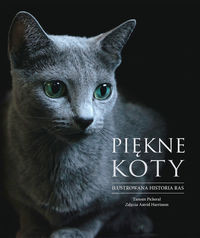 Piękne koty