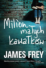 Milion małych kawałków