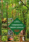 Uszkodzenia drzew leśnych