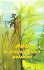 Rok w przysłowiach polskich