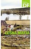 Leśna mafia Szwedzki thriller ekologiczny