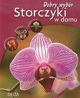 Storczyki w domu Dobry wybór