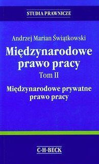 Międzynarodowe prawo pracy Tom 2