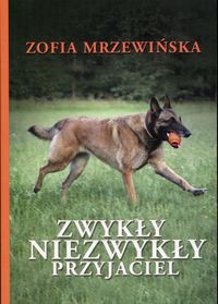 Zwykły niezwykły przyjaciel
