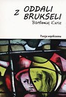 Z oddali Brukseli