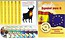 Espanol para ti z płytami CD i MP3 cz 2 Intensywny kurs języka hiszpańskiego dla średnio zaawansowanych