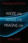 Widzę cię / Słyszę cię / Pragnę cię