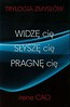 Widzę cię / Słyszę cię / Pragnę cię