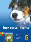 Jack Russell Terrier