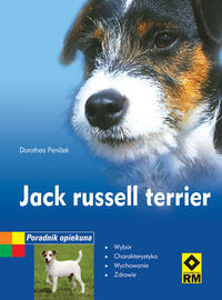 Jack Russell Terrier