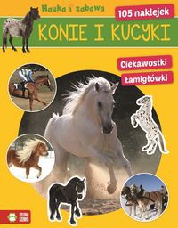 Konie i kucyki Nauka i zabawa